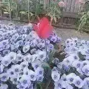 なるみ【プロフ必読】の画像