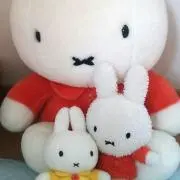 たろぼん