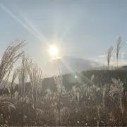 どぅの画像