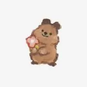 ステラの画像