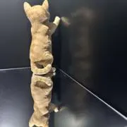 ての画像