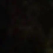 東京ミッドナイトランの画像
