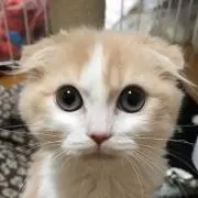 マリンの画像