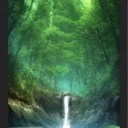 Aroの画像