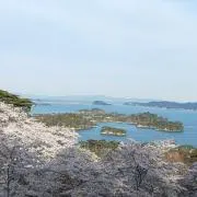 ズーキー(プロフ必読、無言取引×)の画像