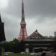 チョロの画像
