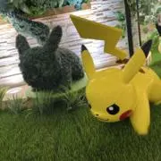 ピカチュウの画像