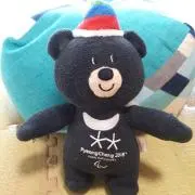 バンダビの画像