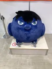 まっちゃの画像