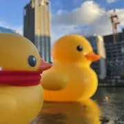 rakuの画像