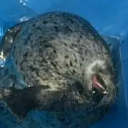 風化の画像