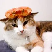 さくらだにの画像