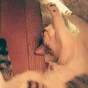 水パン