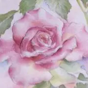 もんの画像