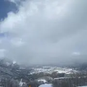 ぴんの画像