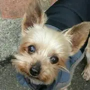 まこりーぬ
