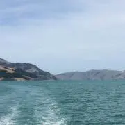 Ruruの画像
