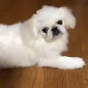 むく