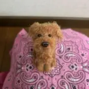 ききの画像