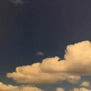 nutsの画像