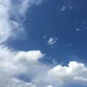 みぃこんの画像