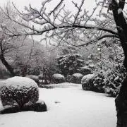 雪アナ