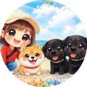 sachi