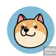 ノエル