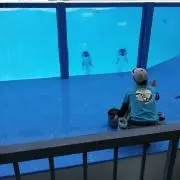 いちごの画像