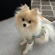 Keiの画像