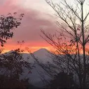 emiの画像