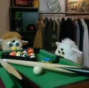 すずき