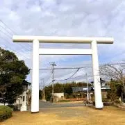 マロンの画像
