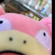 やどんのどんの画像