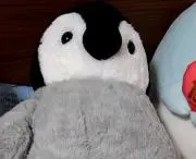 ペン太郎♪即購入歓迎♪の画像