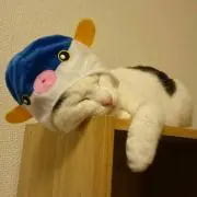 erikaの画像