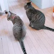 105の画像