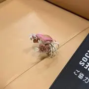 Kirinの画像
