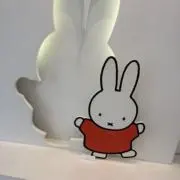 ®️の画像