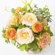 davi500円値下げ中の画像