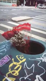 Rondelの画像