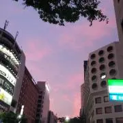 ズーミーの画像