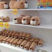 けいひな☆