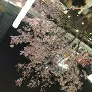 ぬぁ