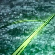ふうたの画像