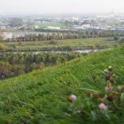 STの画像