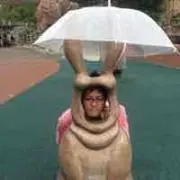 冷蔵庫