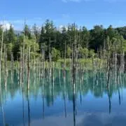 Pochi0614の画像