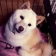 ma_ch♬お値下げ同梱ご相談くださいの画像