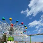 sky 断捨離中の画像